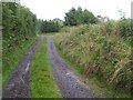 Carrickpolin Townland