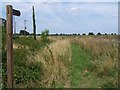 Footpath From Noddle Farm