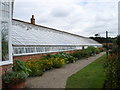 Clumber Park Greenhouses (4) - Eastern Range