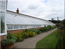 SK6275 : Clumber Park Greenhouses (4) - Eastern Range by Oxymoron