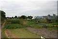 Station Road Allotments