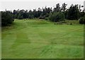 Textures in the grass, Melrose Golf Course