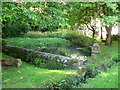 Village Pond, Sigingstone.