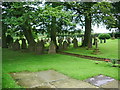 St Francis Church, Hill Chapel, Graveyard