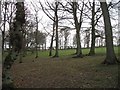 Grazed woodland, Hassendeanburn