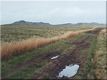 SD7259 : Track towards Bowland Knotts by Stephen Craven