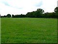 Small field north of Malmesbury