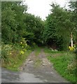 Footpath - Manchester Road, Linthwaite