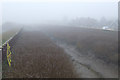 Barton Haven shrouded in December Fog