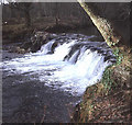 Pillaton mill weir on the river Lynher