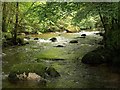 River Teign by Dogmarsh Wood