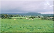 G5813 : Lowland farming at Toberadur near Achonry, co. Sligo by D Gore