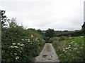 Road from Churchill descends down into Clifton