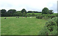 Pasture south of Blaenpennal, Ceredigion