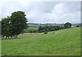 Pasture east of Penuwch, Ceredigion