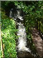 Waterfall in the grounds of Giggleswick School