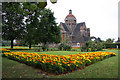 Marigolds in Central Square