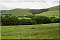 Field near the Nant Coegen