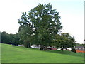 Local Park in Cwmbran