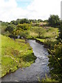 Calder Water Near Langlands