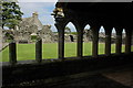 NX1858 : The cloister of Glenluce Abbey by Philip Halling