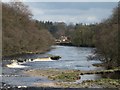 NZ1014 : River Tees and Wycliffe by Alan Howes