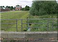 Bridge across stream