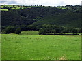 Cwm Ceri, looking northwest