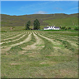 NG4548 : New mown hay on a croft at Borve by John Allan