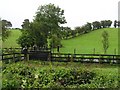 Shillanmore Townland