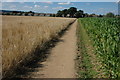 The Diamond Way approaching Moreton-in-Marsh