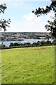 Pasture above Little Falmouth