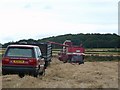 Harvest Time Sheephouse Heights