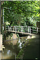 Beaminster: footbridge over the Brit