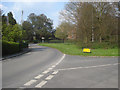 Village green at Rous Lench - 1