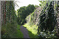 Beaminster: path from Fleet Street