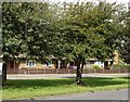 Bungalows on Longmoor Road