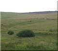 Hillside track above Blackhillock