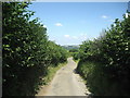 Lane near Wern Wood