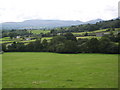 Pasture land near Lower Chapel