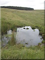 SX1581 : Small pool on the slopes of Showery Tor by Rod Allday