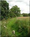 Footpath - Bradford Road, Menston