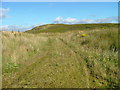 Track to the moorland