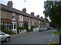 Row of Cottages in Hartburn village