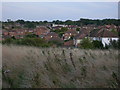 View Across Open Land to the Davis Estate