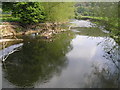 River Severn, Plas Meredydd