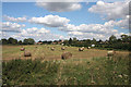 Harvested field near Lakenheath