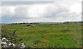 R2094 : Uneven rough Burren field by C Michael Hogan