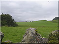 Fields from a dry stane dyke