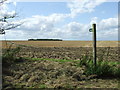 Footpath to Appleacre Farm